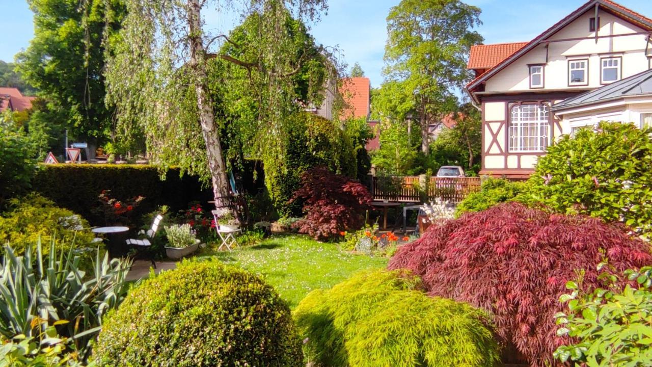 Fewo Am Wetzstein Wernigerode Eksteriør bilde